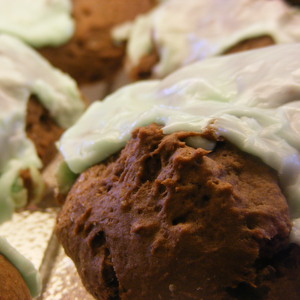 Chocolate Chip Mint